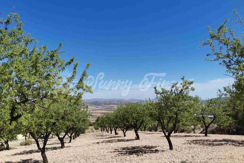 Masia a Salinas, Alicante, Salinas - € 85.000 | Ref: SF0447 - foto 23